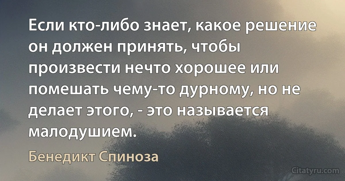 Если кто-либо знает, какое решение он должен принять, чтобы произвести нечто хорошее или помешать чему-то дурному, но не делает этого, - это называется малодушием. (Бенедикт Спиноза)