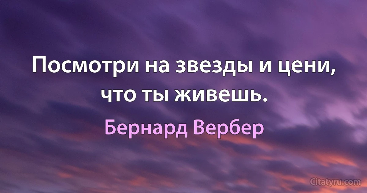 Посмотри на звезды и цени, что ты живешь. (Бернард Вербер)