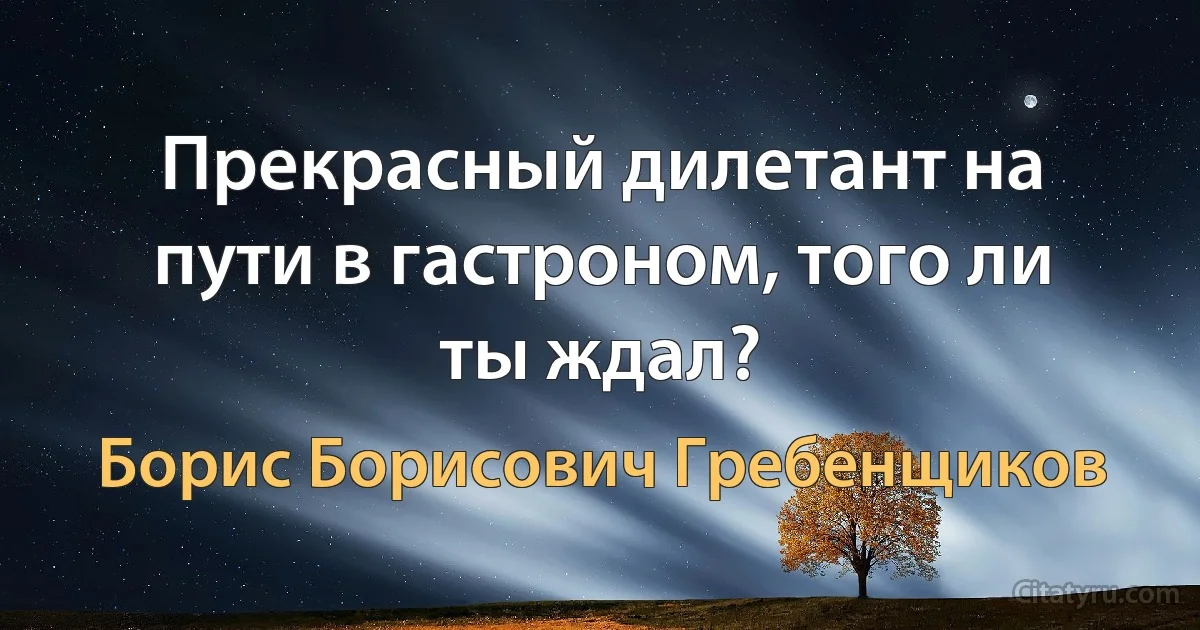 Прекрасный дилетант на пути в гастроном, того ли ты ждал? (Борис Борисович Гребенщиков)