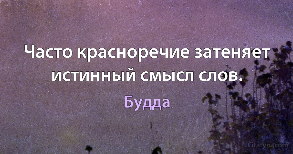 Часто красноречие затеняет истинный смысл слов. (Будда)