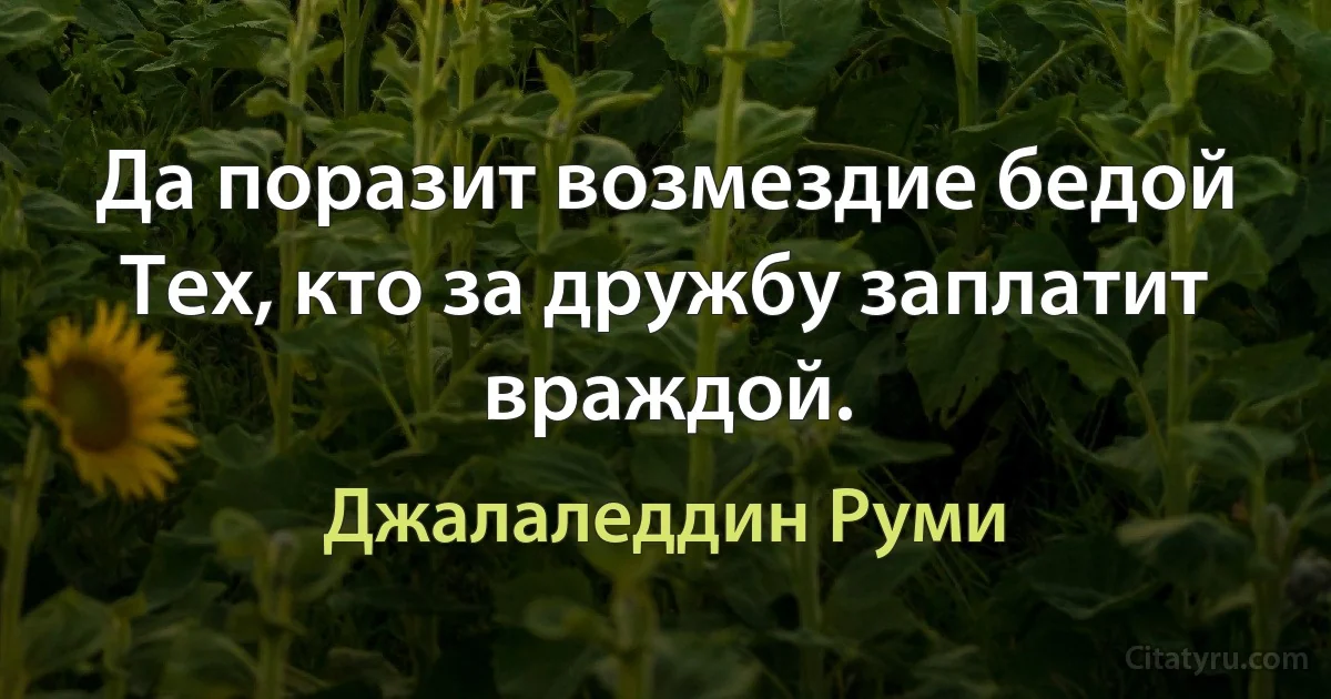 Да поразит возмездие бедой
Тех, кто за дружбу заплатит враждой. (Джалаледдин Руми)