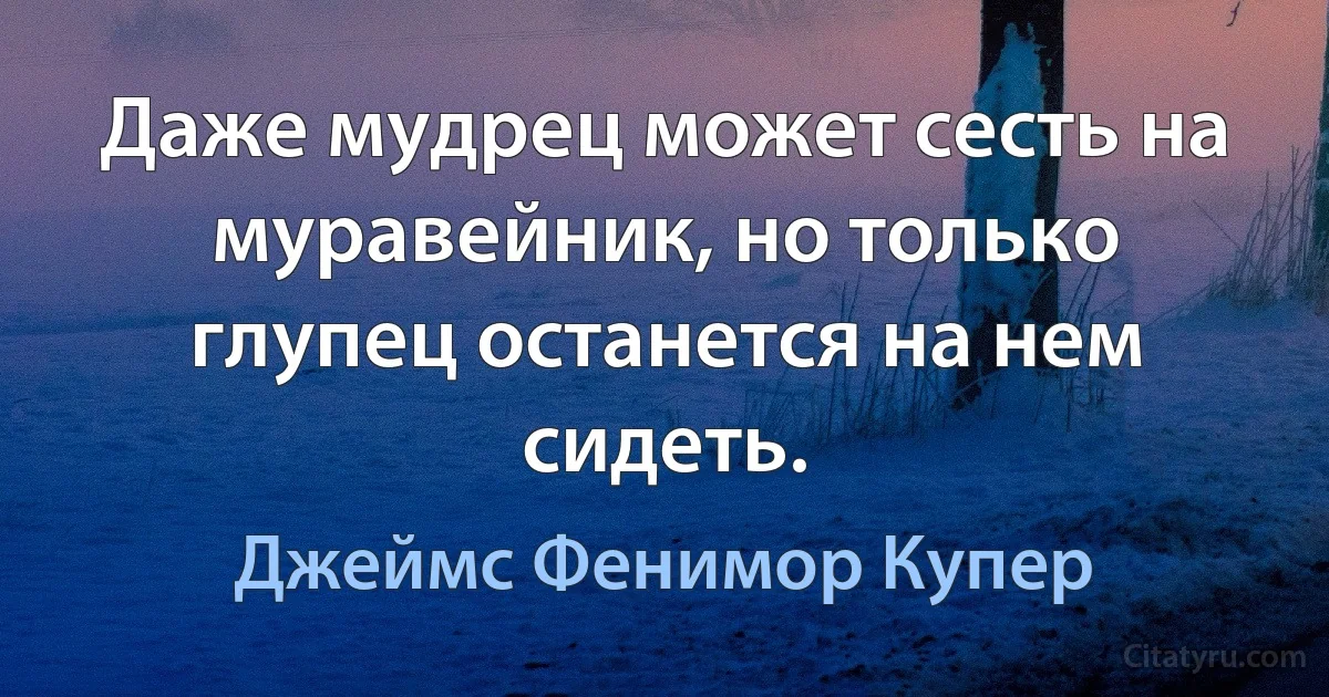 Даже мудрец может сесть на муравейник, но только глупец останется на нем сидеть. (Джеймс Фенимор Купер)