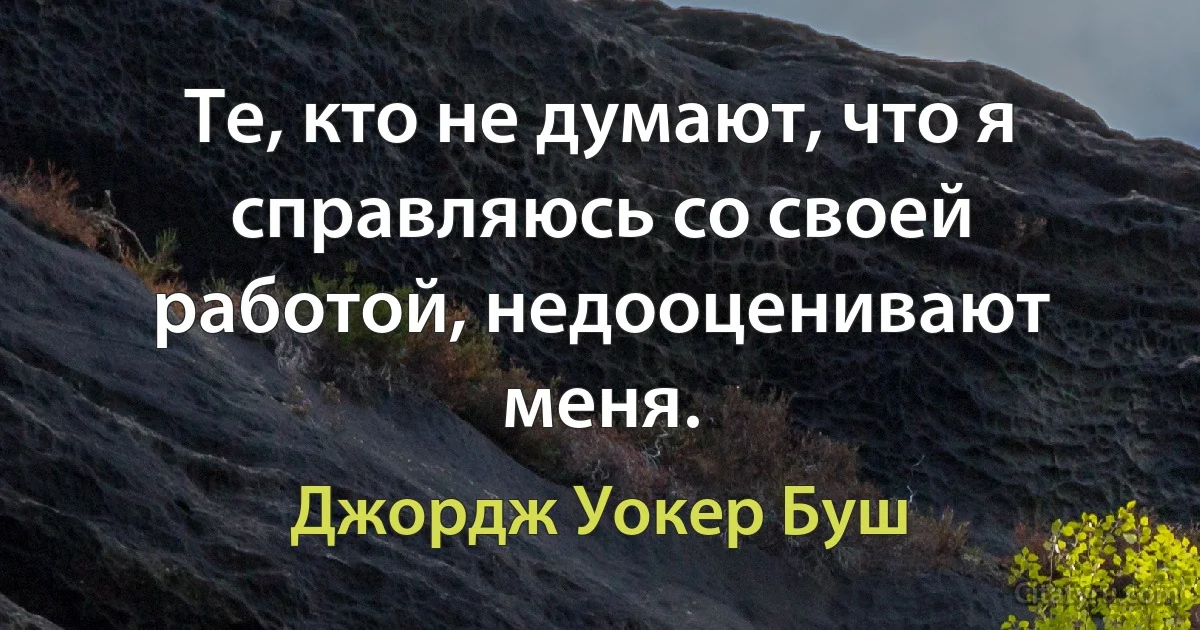 Те, кто не думают, что я справляюсь со своей работой, недооценивают меня. (Джордж Уокер Буш)