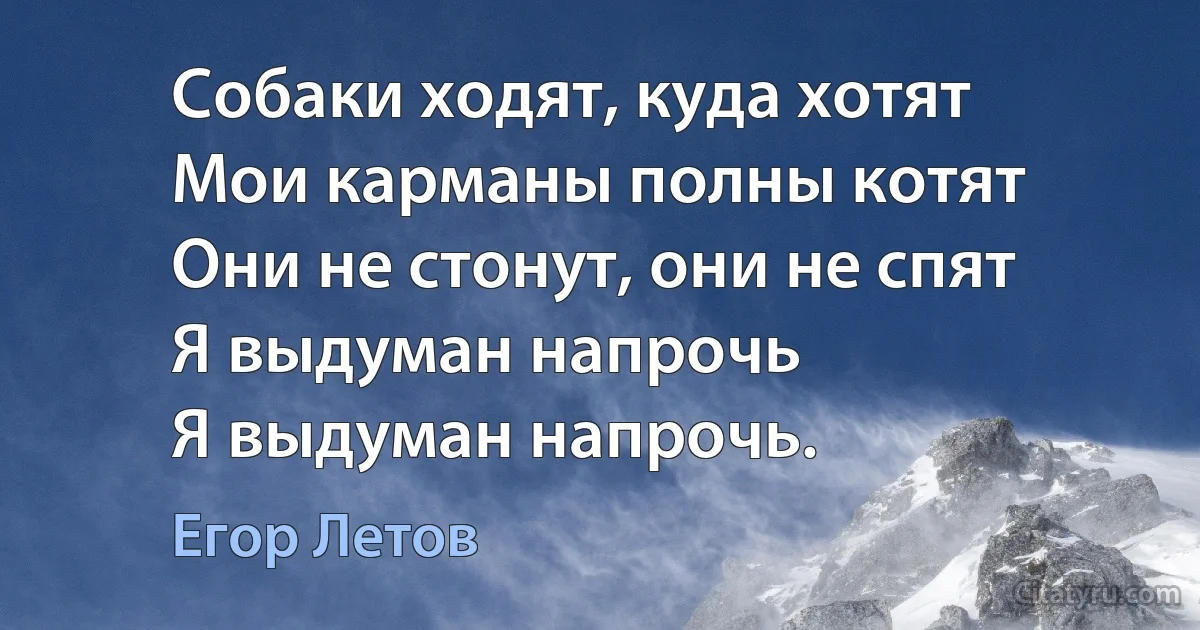 Собаки ходят, куда хотят
Мои карманы полны котят
Они не стонут, они не спят
Я выдуман напрочь
Я выдуман напрочь. (Егор Летов)