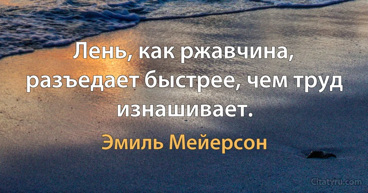 Лень, как ржавчина, разъедает быстрее, чем труд изнашивает. (Эмиль Мейерсон)