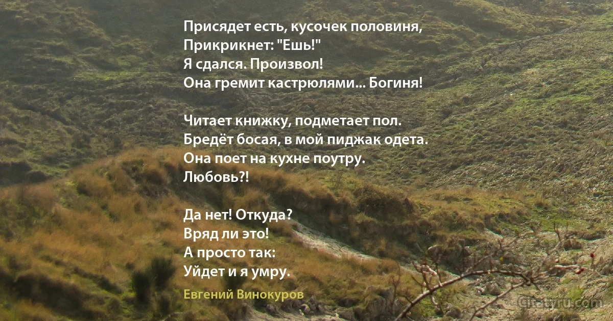 Присядет есть, кусочек половиня,
Прикрикнет: "Ешь!"
Я сдался. Произвол!
Она гремит кастрюлями... Богиня!

Читает книжку, подметает пол.
Бредёт босая, в мой пиджак одета.
Она поет на кухне поутру.
Любовь?!

Да нет! Откуда? 
Вряд ли это!
А просто так: 
Уйдет и я умру. (Евгений Винокуров)