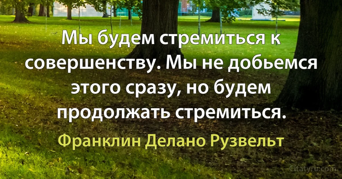 Мы будем стремиться к совершенству. Мы не добьемся этого сразу, но будем продолжать стремиться. (Франклин Делано Рузвельт)