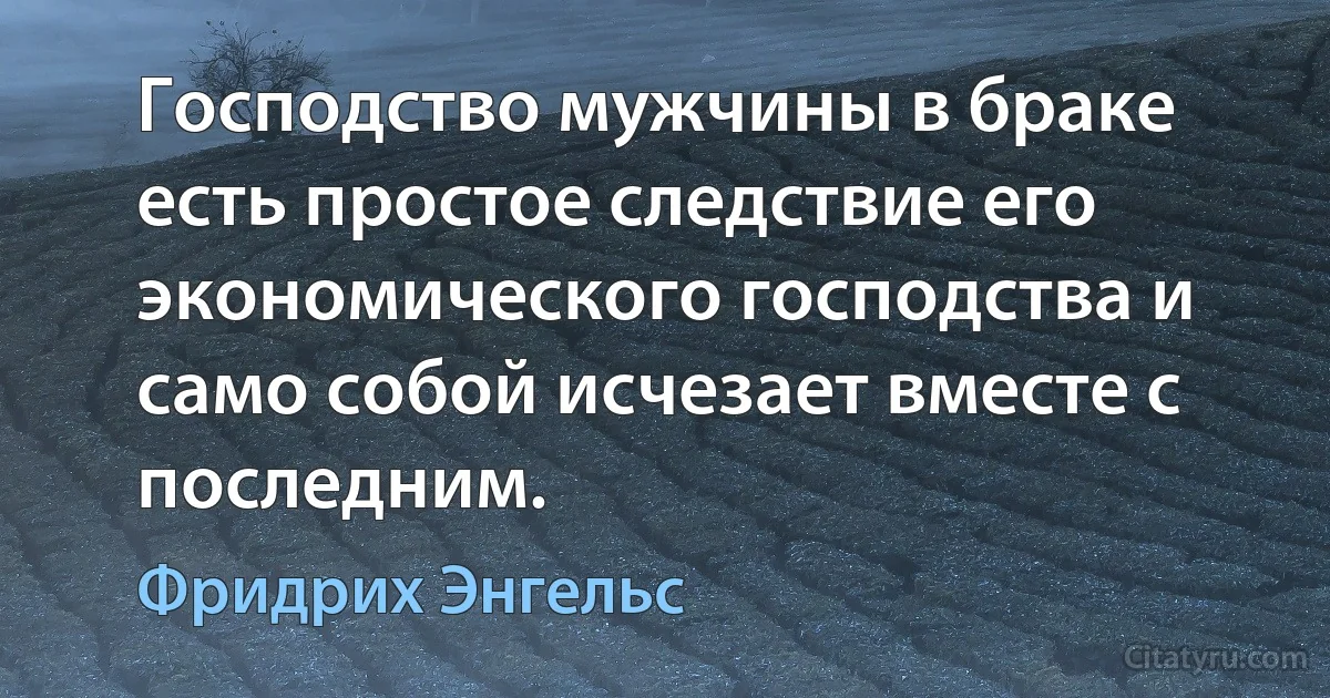 Господство мужчины в браке есть простое следствие его экономического господства и само собой исчезает вместе с последним. (Фридрих Энгельс)