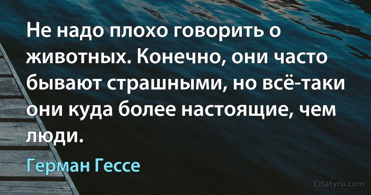 Не надо плохо говорить о животных. Конечно, они часто бывают страшными, но всё-таки они куда более настоящие, чем люди. (Герман Гессе)