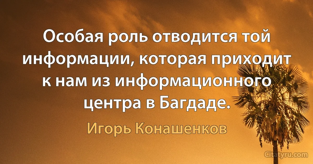 Особая роль отводится той информации, которая приходит к нам из информационного центра в Багдаде. (Игорь Конашенков)