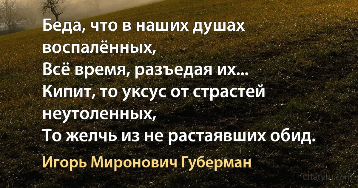 Беда, что в наших душах воспалённых,
Всё время, разъедая их... 
Кипит, то уксус от страстей неутоленных,
То желчь из не растаявших обид. (Игорь Миронович Губерман)