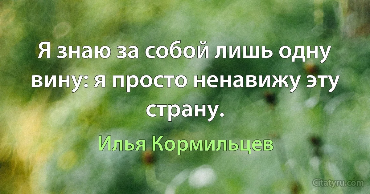 Я знаю за собой лишь одну вину: я просто ненавижу эту страну. (Илья Кормильцев)