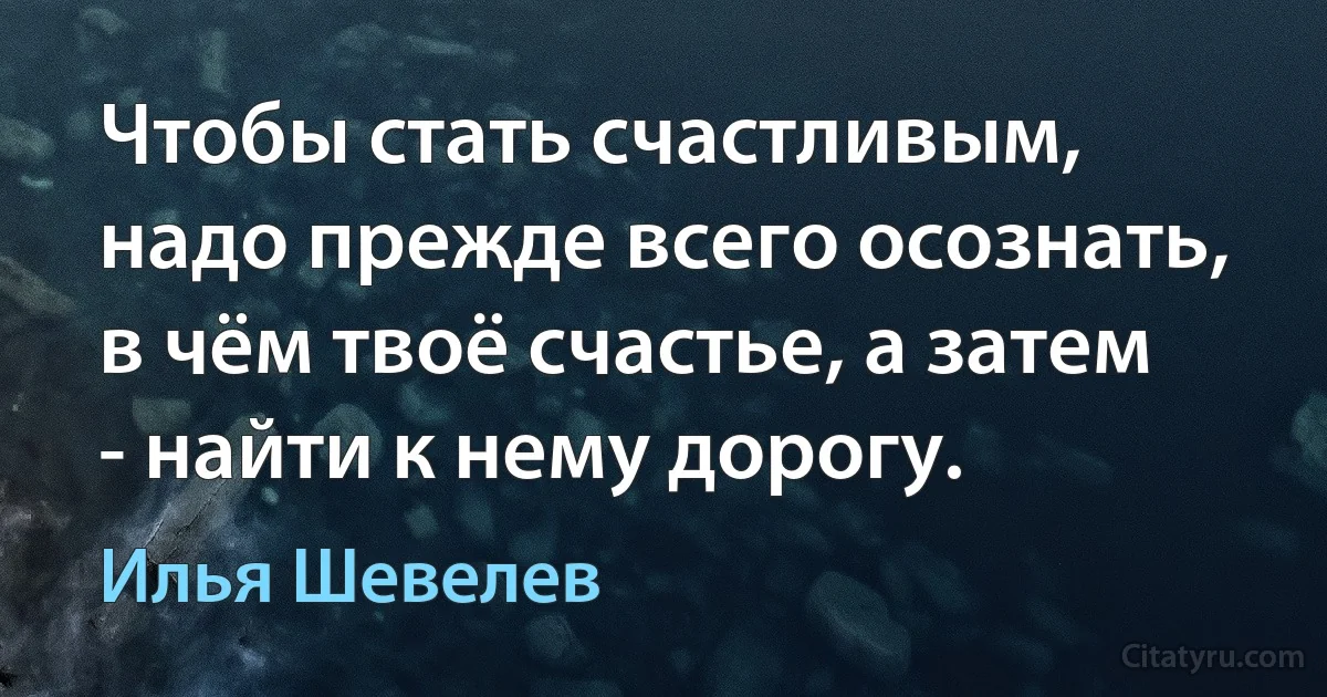 Чтобы стать счастливым, надо прежде всего осознать, в чём твоё счастье, а затем - найти к нему дорогу. (Илья Шевелев)