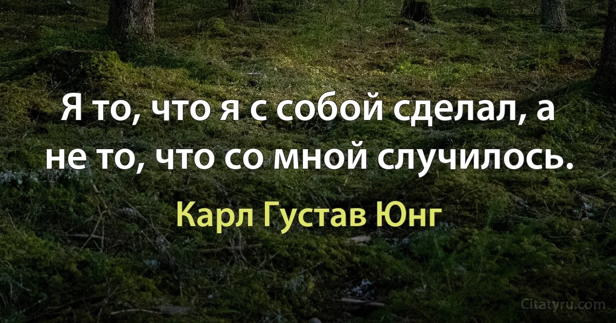 Я то, что я с собой сделал, а не то, что со мной случилось. (Карл Густав Юнг)