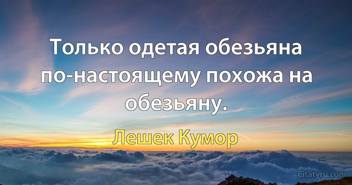 Только одетая обезьяна по-настоящему похожа на обезьяну. (Лешек Кумор)