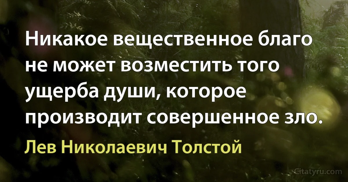 Никакое вещественное благо не может возместить того ущерба души, которое производит совершенное зло. (Лев Николаевич Толстой)