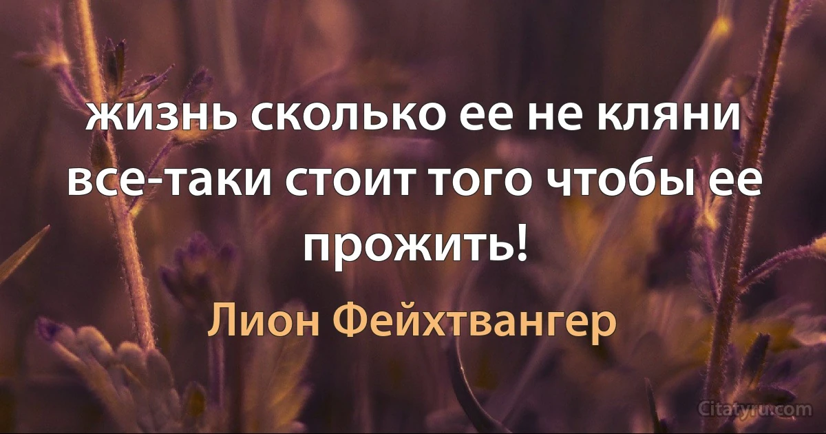 жизнь сколько ее не кляни все-таки стоит того чтобы ее прожить! (Лион Фейхтвангер)