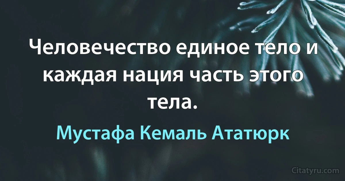 Человечество единое тело и каждая нация часть этого тела. (Мустафа Кемаль Ататюрк)