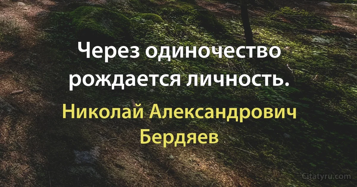 Через одиночество рождается личность. (Николай Александрович Бердяев)