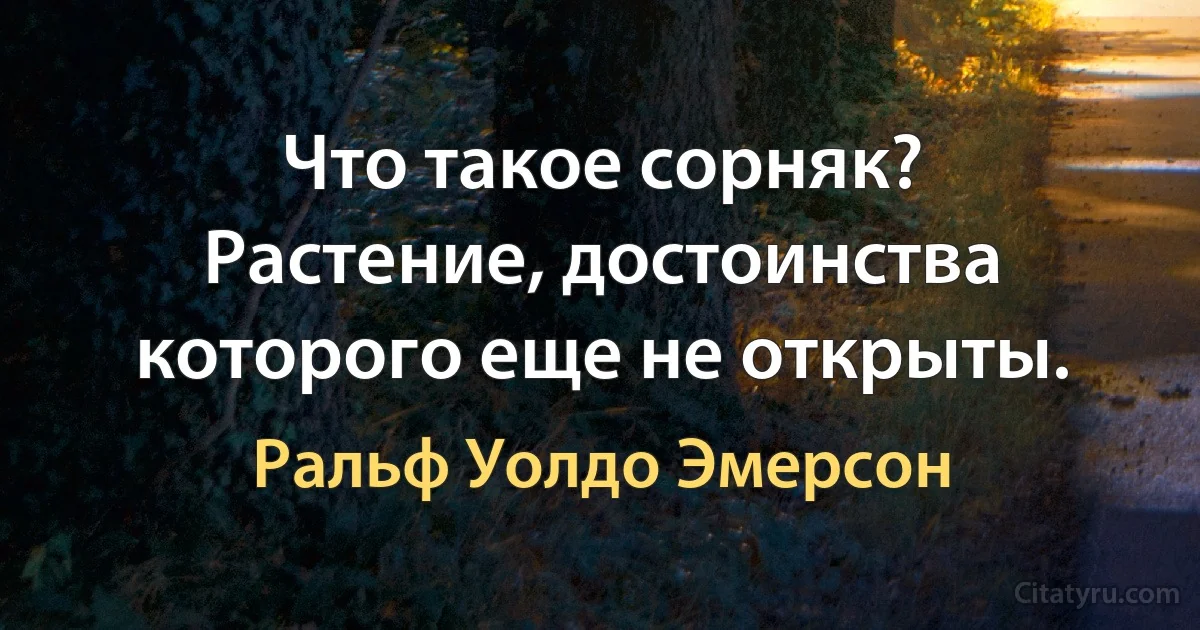 Что такое сорняк? Растение, достоинства которого еще не открыты. (Ральф Уолдо Эмерсон)