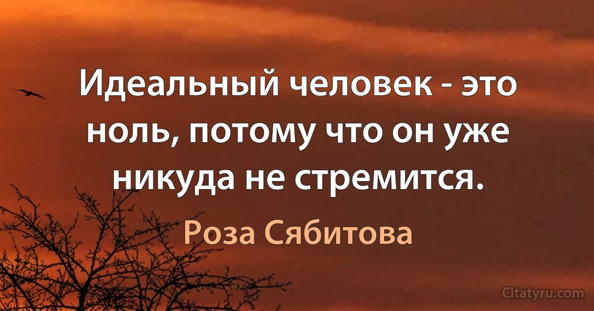 Идеальный человек - это ноль, потому что он уже никуда не стремится. (Роза Сябитова)