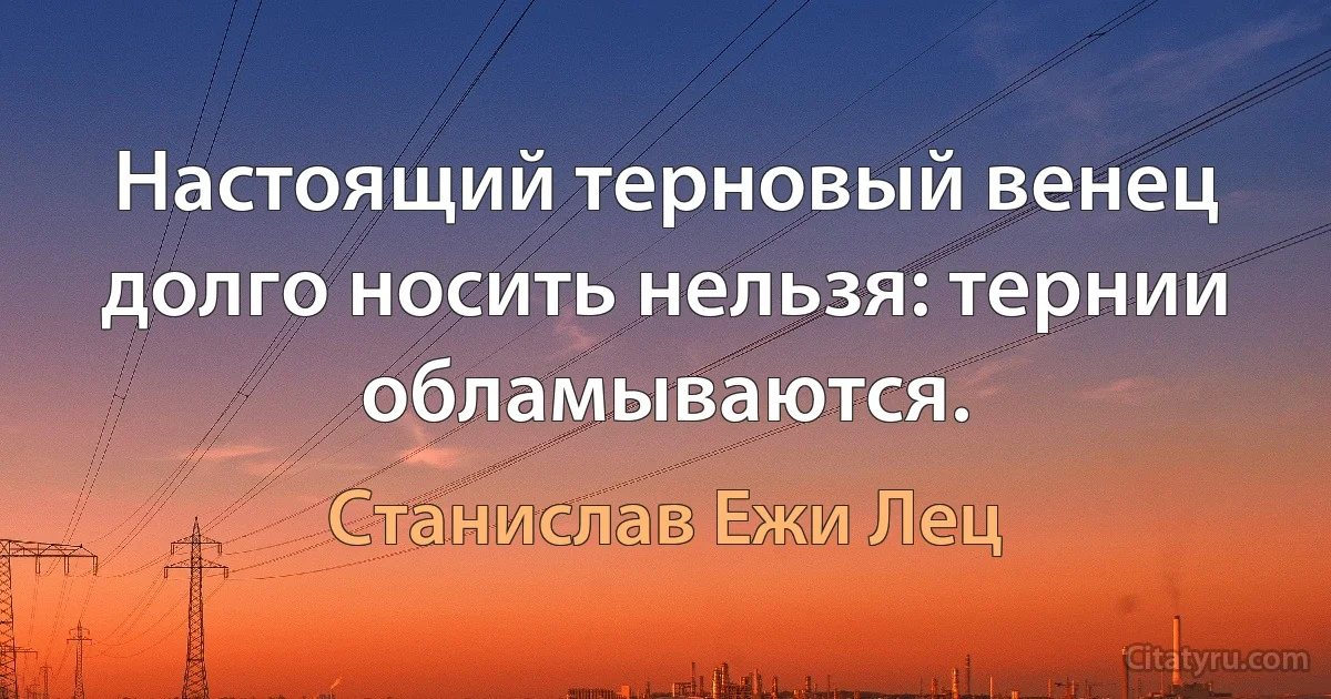 Настоящий терновый венец долго носить нельзя: тернии обламываются. (Станислав Ежи Лец)