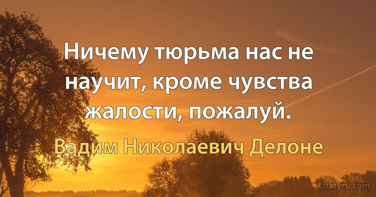 Ничему тюрьма нас не научит, кроме чувства жалости, пожалуй. (Вадим Николаевич Делоне)