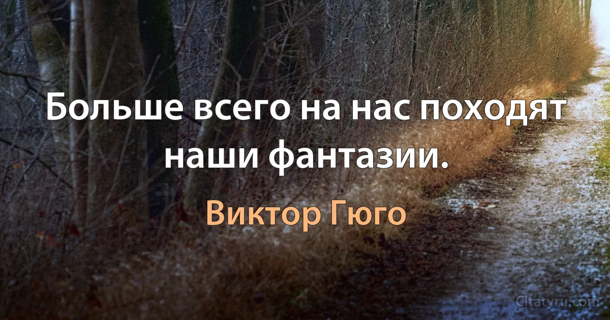 Больше всего на нас походят наши фантазии. (Виктор Гюго)