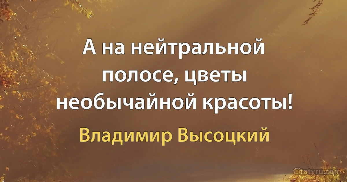 А на нейтральной полосе, цветы необычайной красоты! (Владимир Высоцкий)