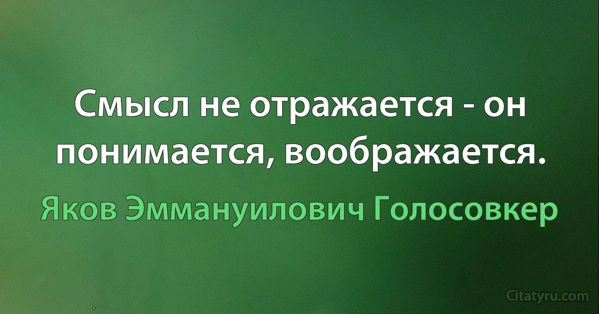 Смысл не отражается - он понимается, воображается. (Яков Эммануилович Голосовкер)