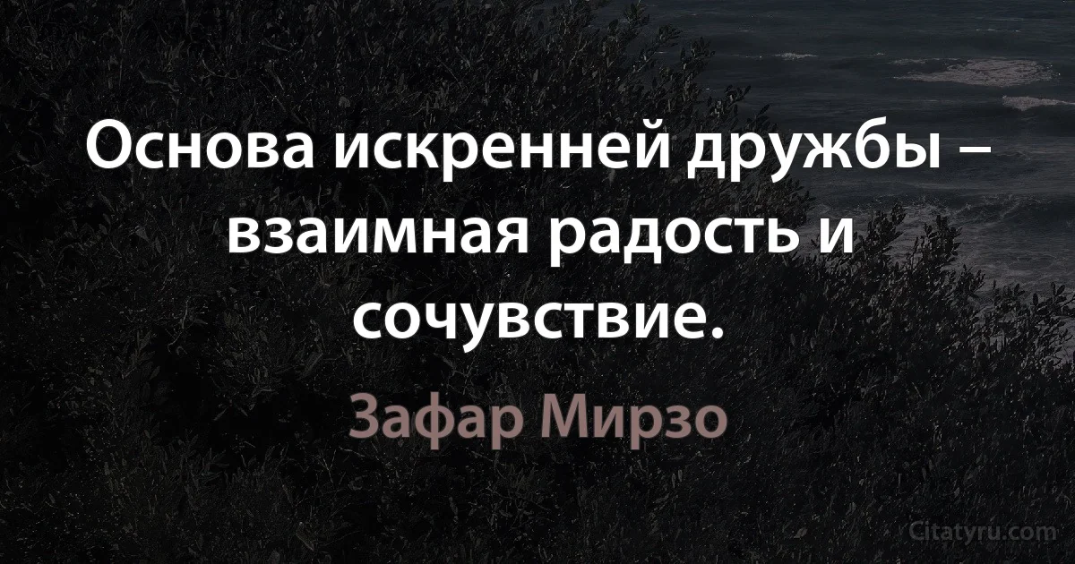 Основа искренней дружбы – взаимная радость и сочувствие. (Зафар Мирзо)