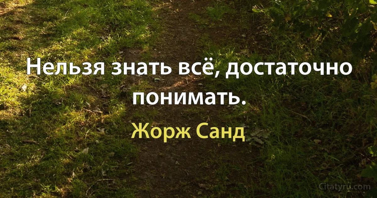 Нельзя знать всё, достаточно понимать. (Жорж Санд)