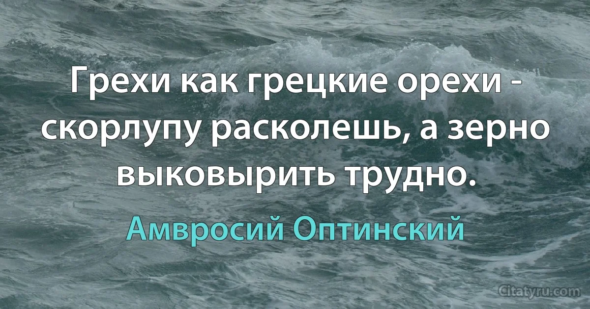 Грехи как грецкие орехи - скорлупу расколешь, а зерно выковырить трудно. (Амвросий Оптинский)