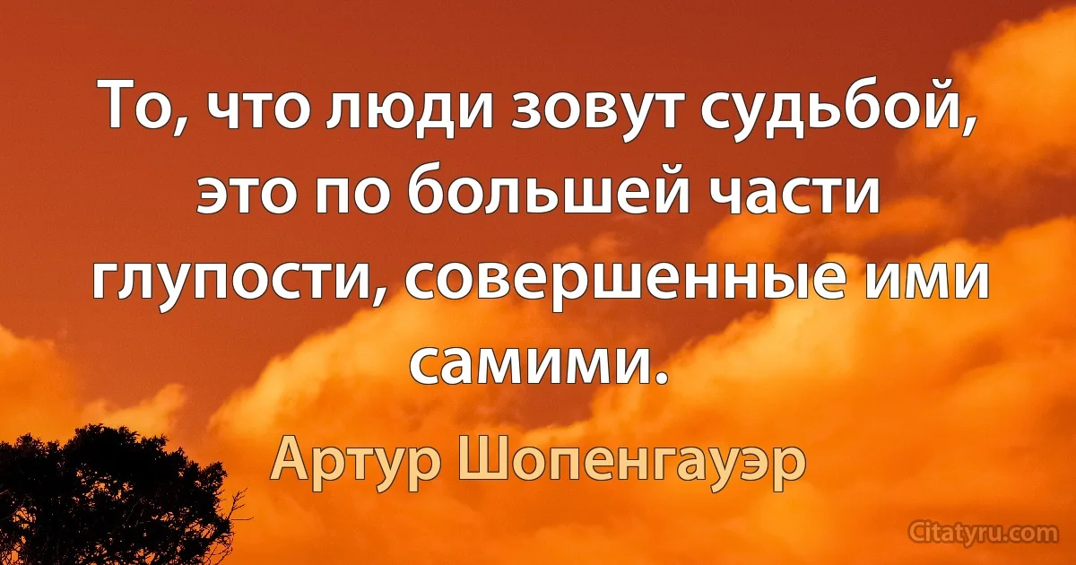 То, что люди зовут судьбой, это по большей части глупости, совершенные ими самими. (Артур Шопенгауэр)