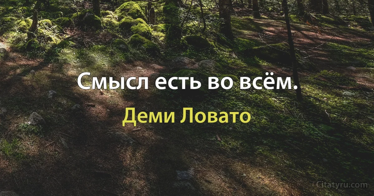 Смысл есть во всём. (Деми Ловато)