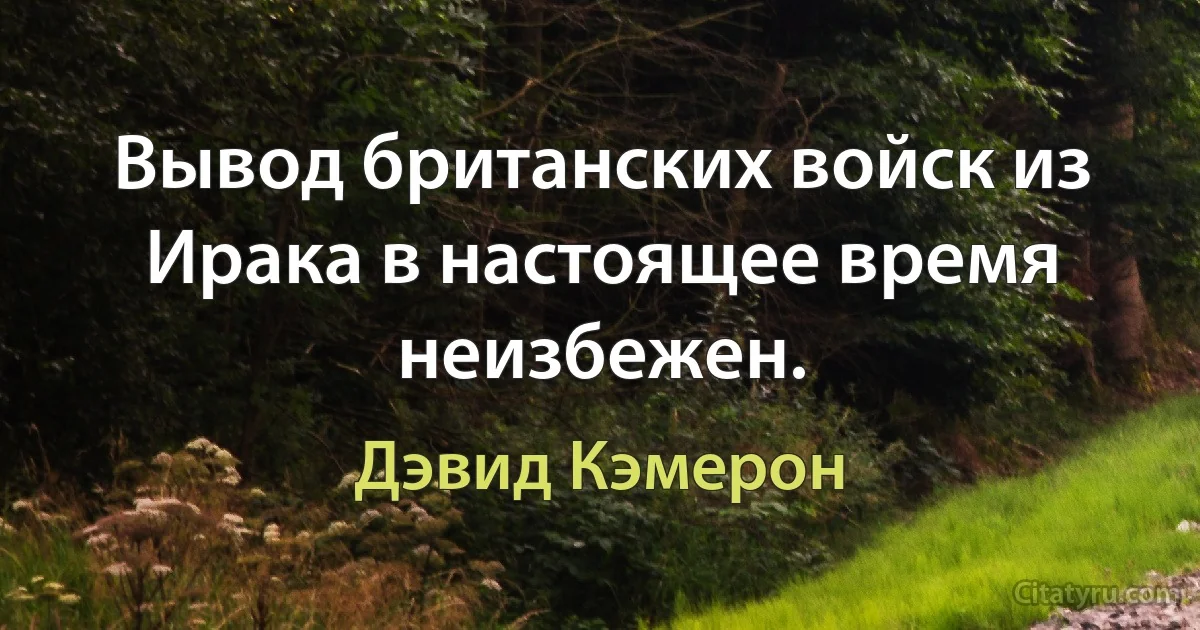 Вывод британских войск из Ирака в настоящее время неизбежен. (Дэвид Кэмерон)