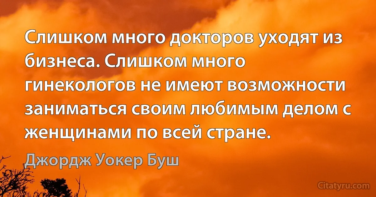 Слишком много докторов уходят из бизнеса. Слишком много гинекологов не имеют возможности заниматься своим любимым делом с женщинами по всей стране. (Джордж Уокер Буш)