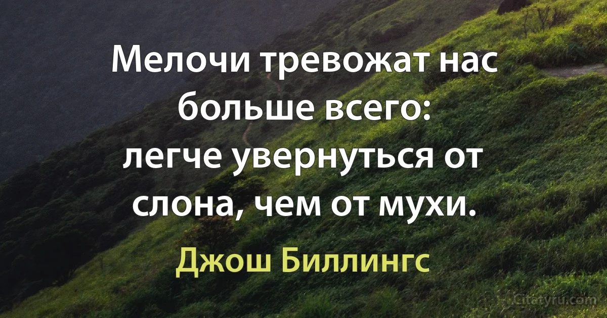 Мелочи тревожат нас больше всего:
легче увернуться от слона, чем от мухи. (Джош Биллингс)