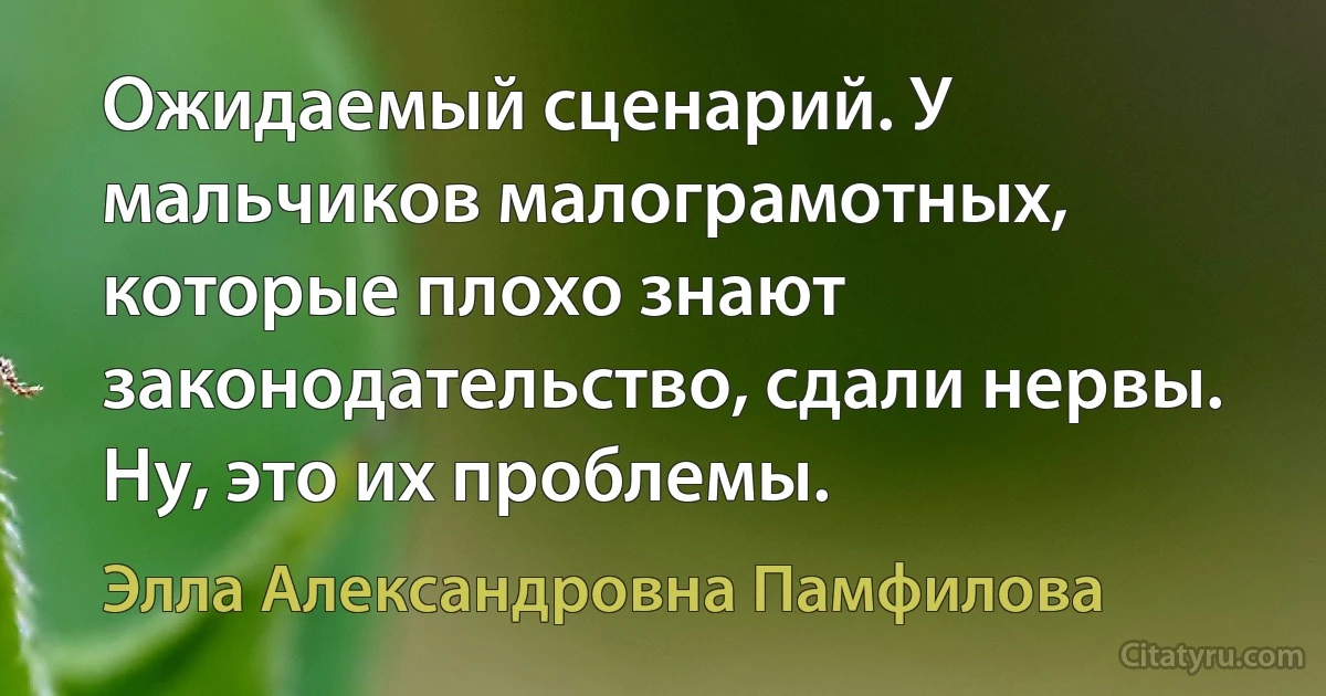 Ожидаемый сценарий. У мальчиков малограмотных, которые плохо знают законодательство, сдали нервы. Ну, это их проблемы. (Элла Александровна Памфилова)