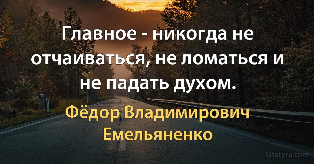 Главное - никогда не отчаиваться, не ломаться и не падать духом. (Фёдор Владимирович Емельяненко)