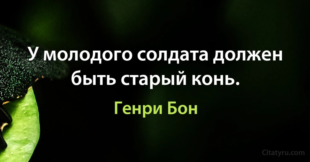 У молодого солдата должен быть старый конь. (Генри Бон)