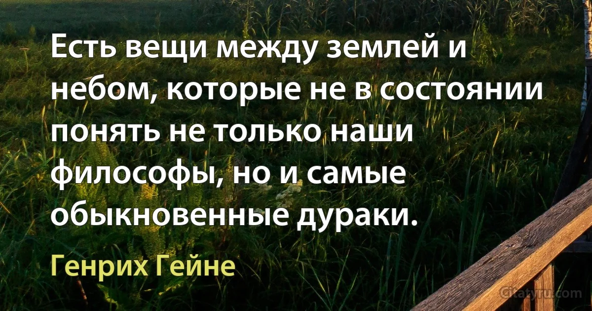 Есть вещи между землей и небом, которые не в состоянии понять не только наши философы, но и самые обыкновенные дураки. (Генрих Гейне)