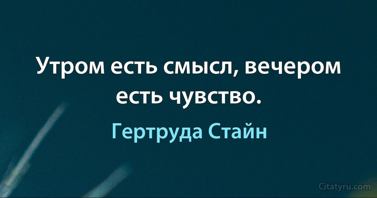 Утром есть смысл, вечером есть чувство. (Гертруда Стайн)