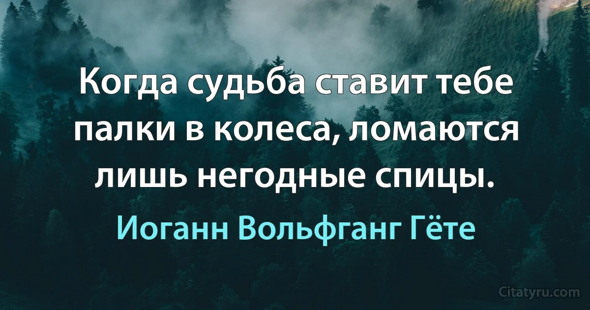 Когда судьба ставит тебе палки в колеса, ломаются лишь негодные спицы. (Иоганн Вольфганг Гёте)