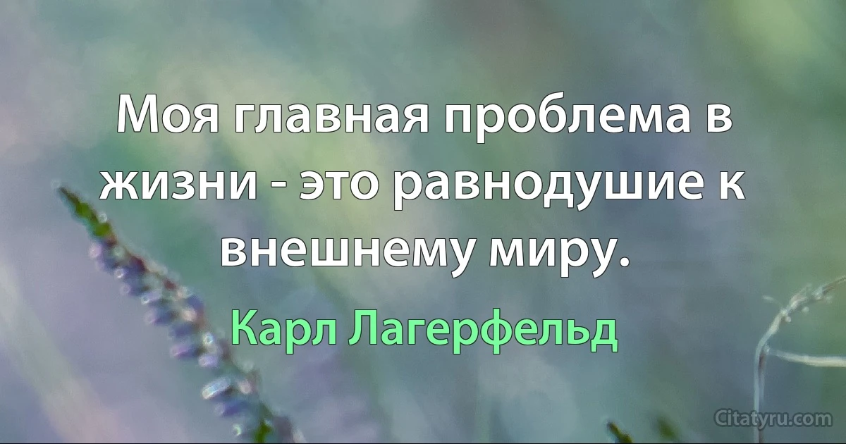 Моя главная проблема в жизни - это равнодушие к внешнему миру. (Карл Лагерфельд)