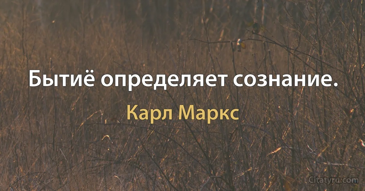 Бытиё определяет сознание. (Карл Маркс)