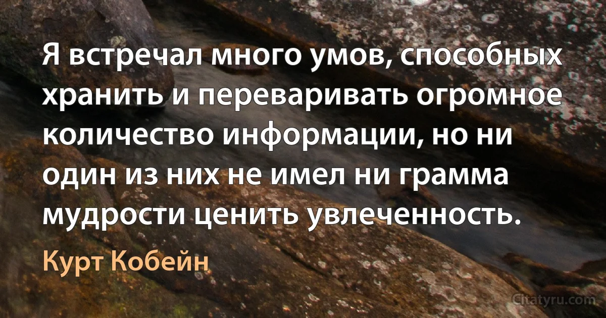 Я встречал много умов, способных хранить и переваривать огромное количество информации, но ни один из них не имел ни грамма мудрости ценить увлеченность. (Курт Кобейн)