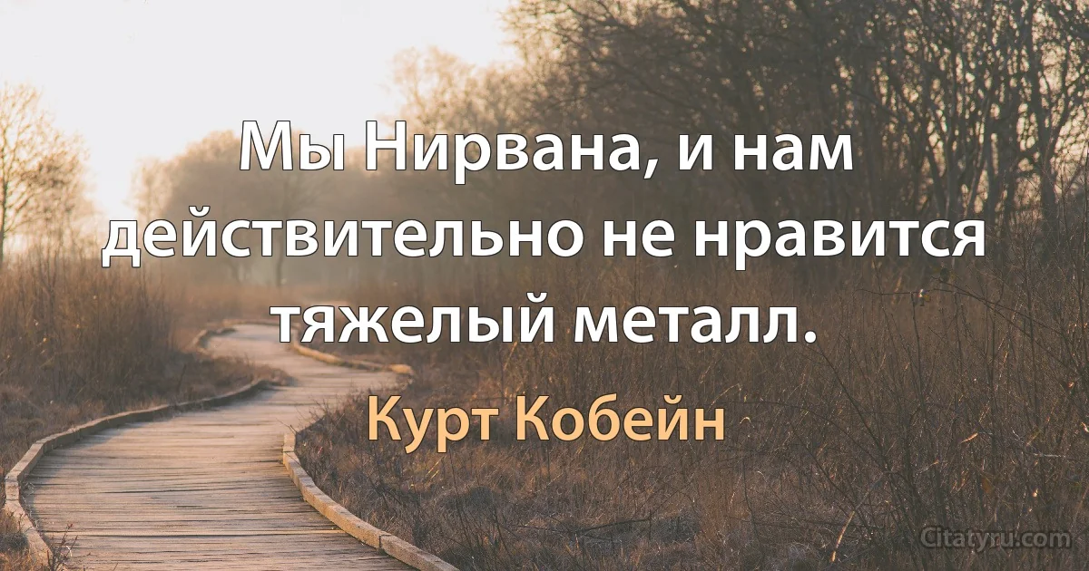 Мы Нирвана, и нам действительно не нравится тяжелый металл. (Курт Кобейн)