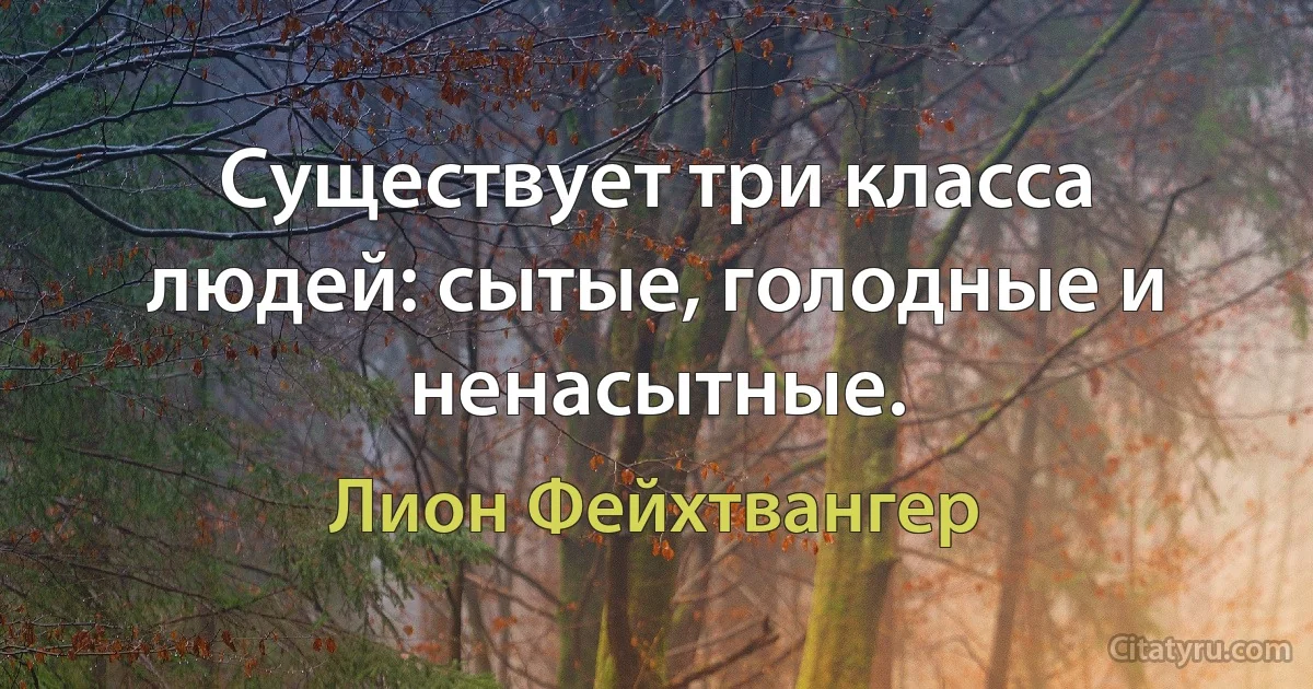 Существует три класса людей: сытые, голодные и ненасытные. (Лион Фейхтвангер)