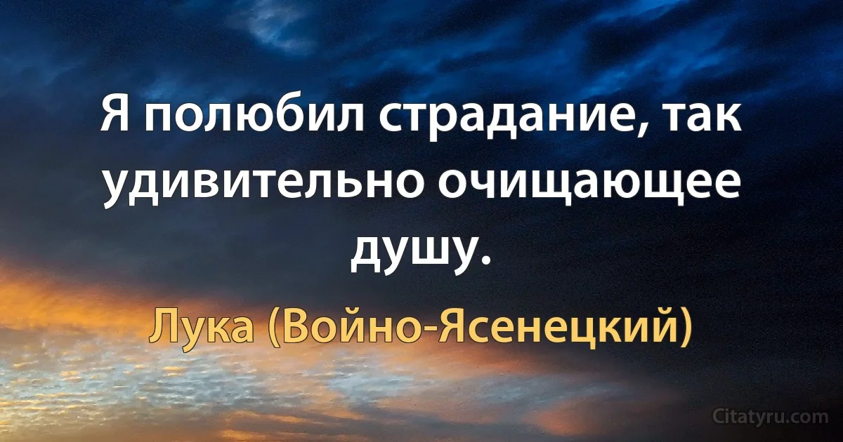 Я полюбил страдание, так удивительно очищающее душу. (Лука (Войно-Ясенецкий))